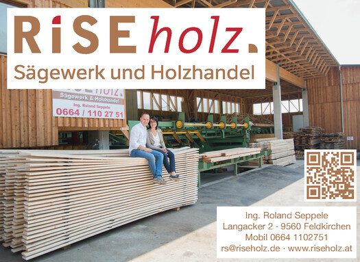 RISE holz.