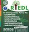 RIEDL