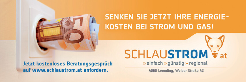 Schlaustrom GmbH