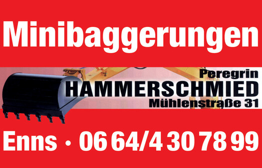 Hammerschmied Peregrin