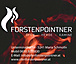Ofen Forstenpointner GmbH